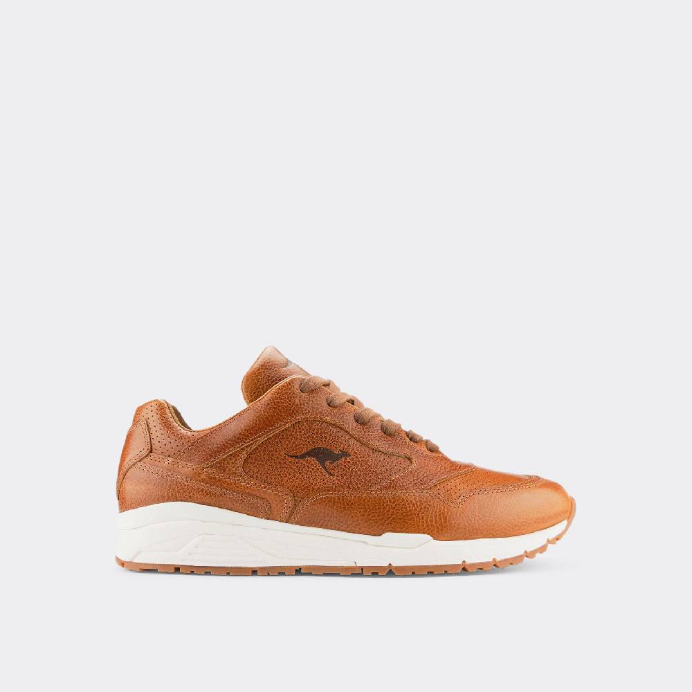 Kangaroos VOLTERA ULTIMATE