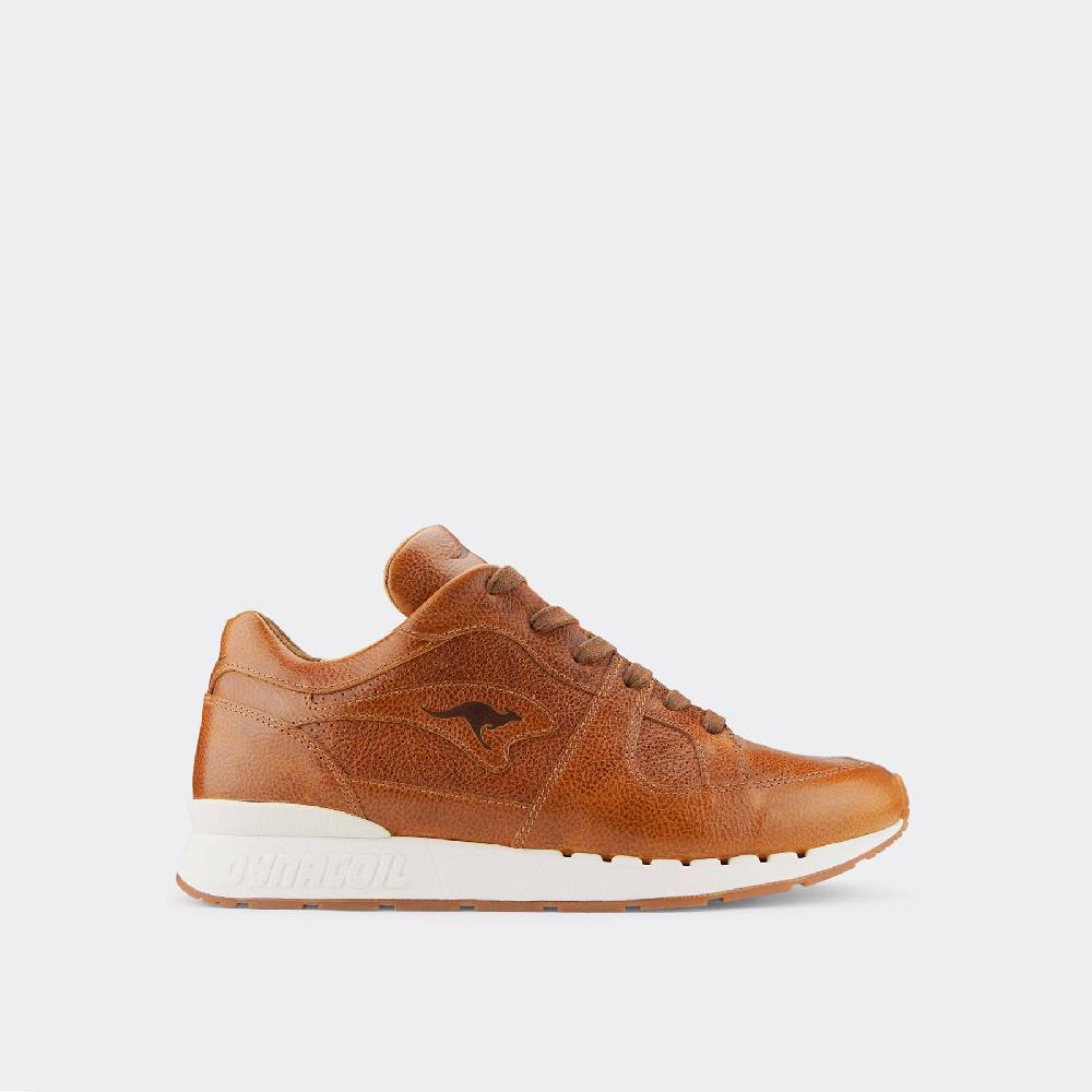 Kangaroos VOLTERA COIL