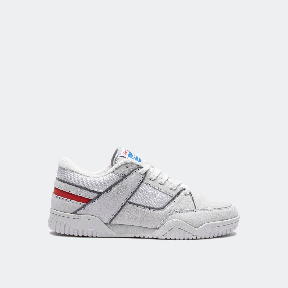 Kangaroos BASELINE