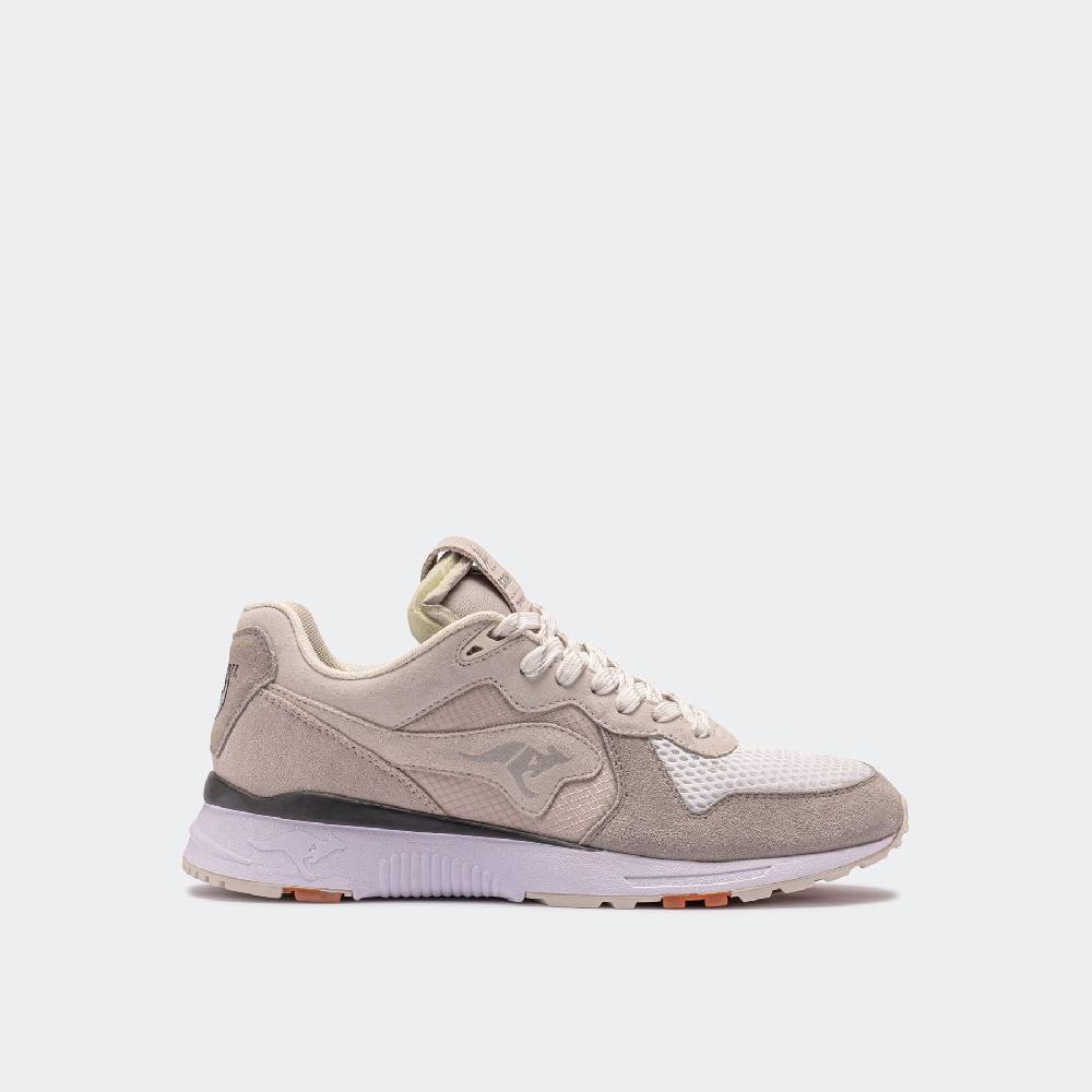 Kangaroos FINALIST FUTURE