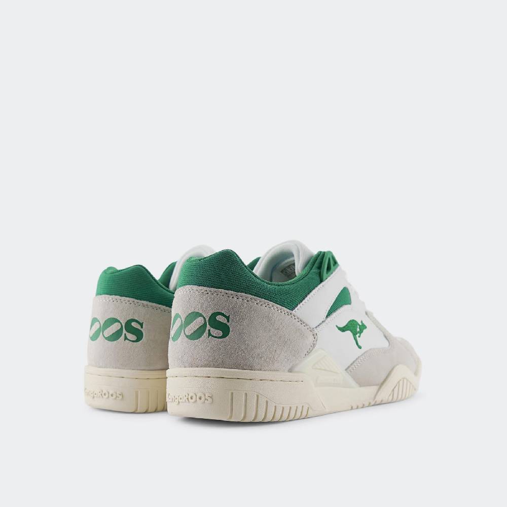 Kangaroos 3 POINTER 2.0 2025