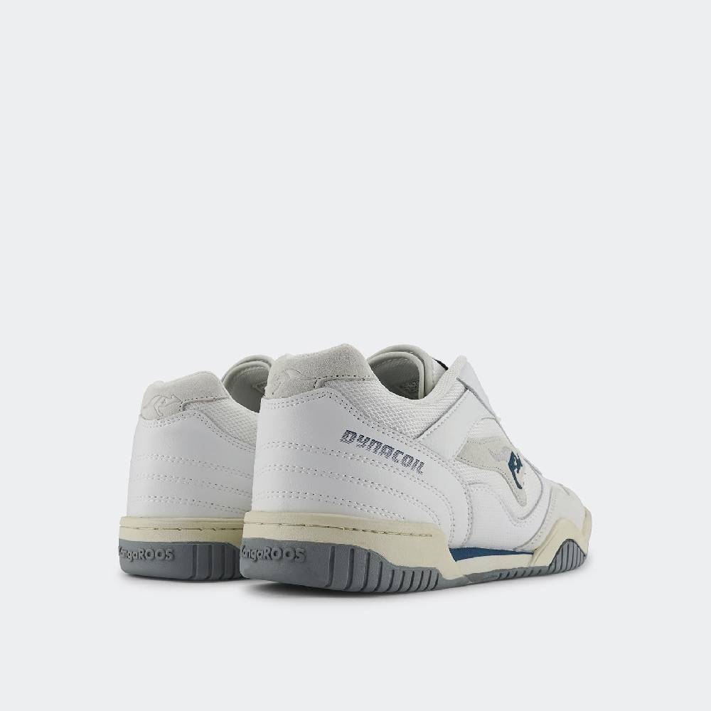 Kangaroos NET OG Angebote