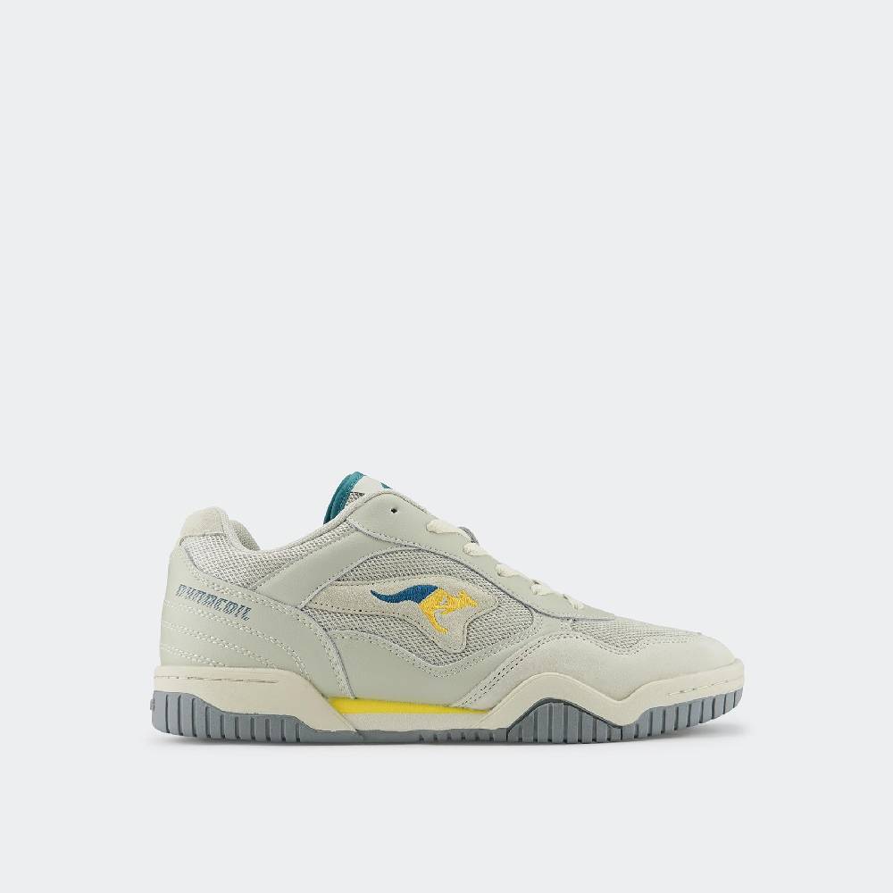 Kangaroos NET OG Angebote