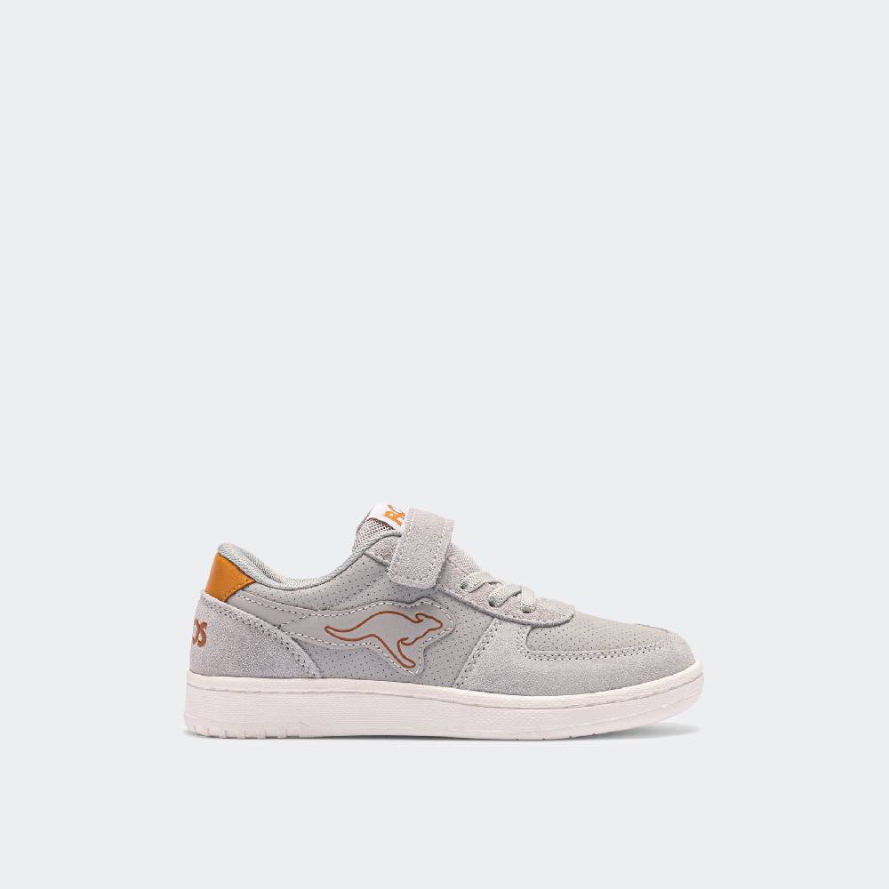 Kangaroos EASY