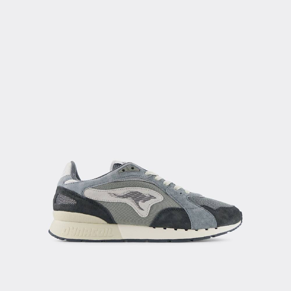 Kangaroos COIL R3