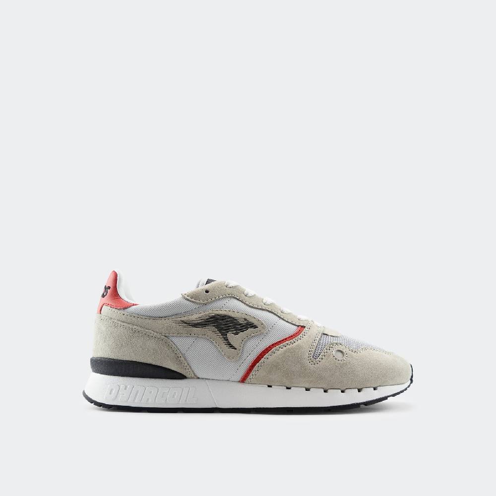 Kangaroos COIL RX