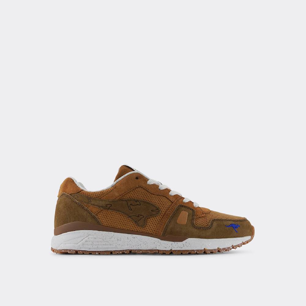 Kangaroos BoxingROOS