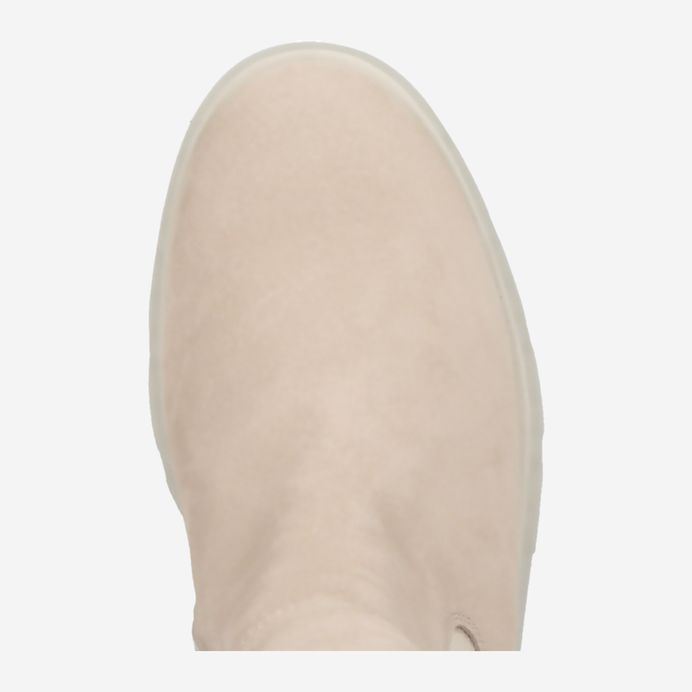 Paul Green 9003-029 Super Sparpreis