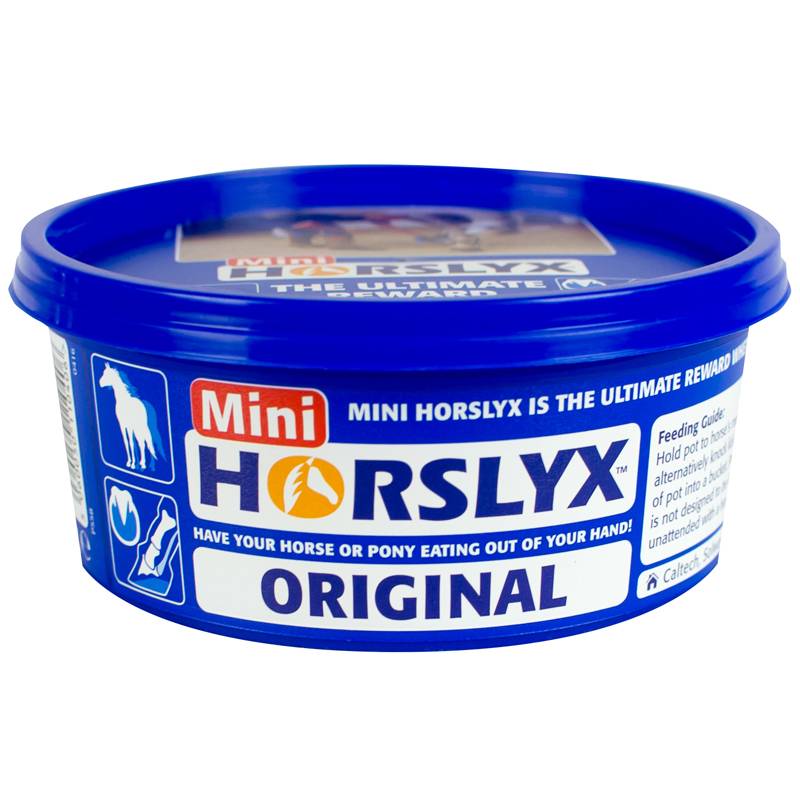 DERBY Leckmasse "Horslyx"