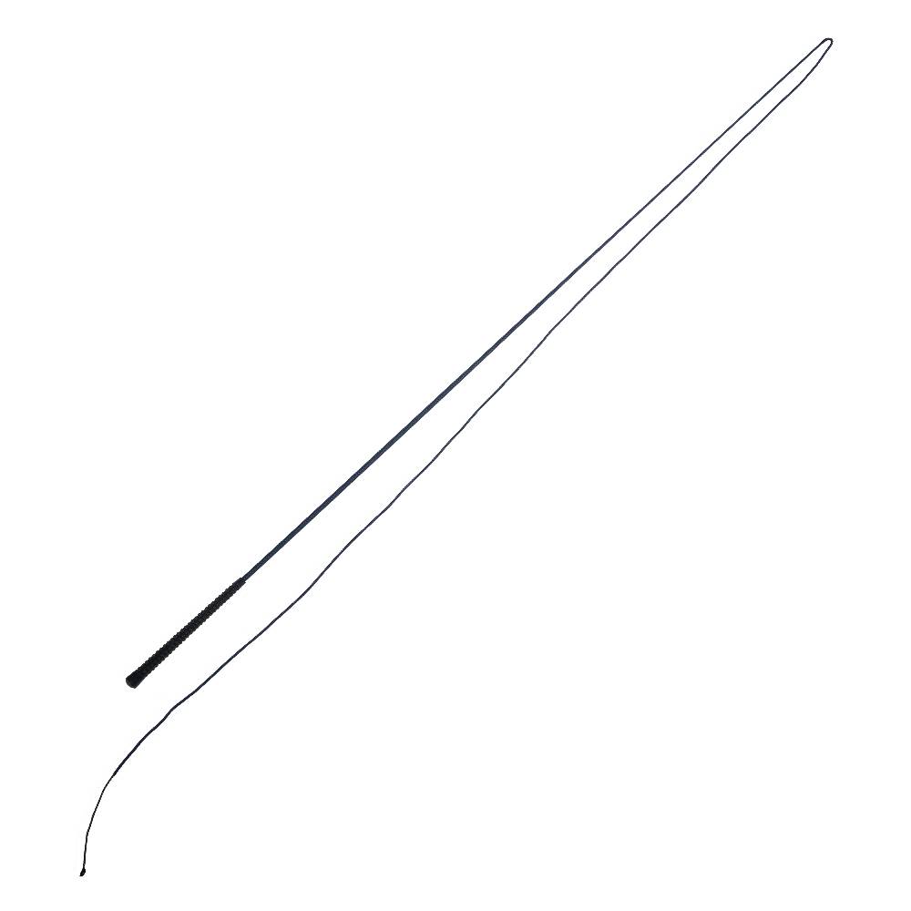 PFIFF 100717 Longierpeitsche
