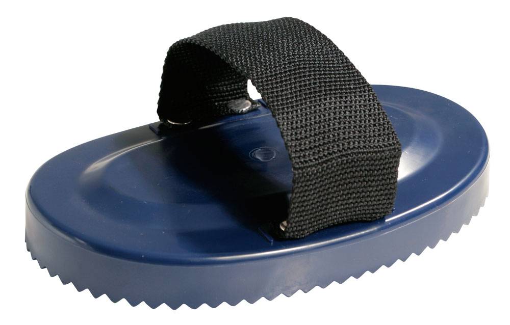 PFIFF 100723 Striegel, oval groß | Farblich Sortiert MENGENANGEBOT