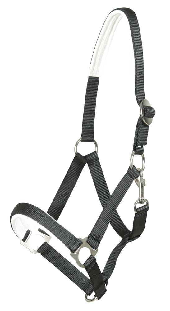 PFIFF 005157 Kunststoffhalfter, unterlegt MENGENANGEBOT