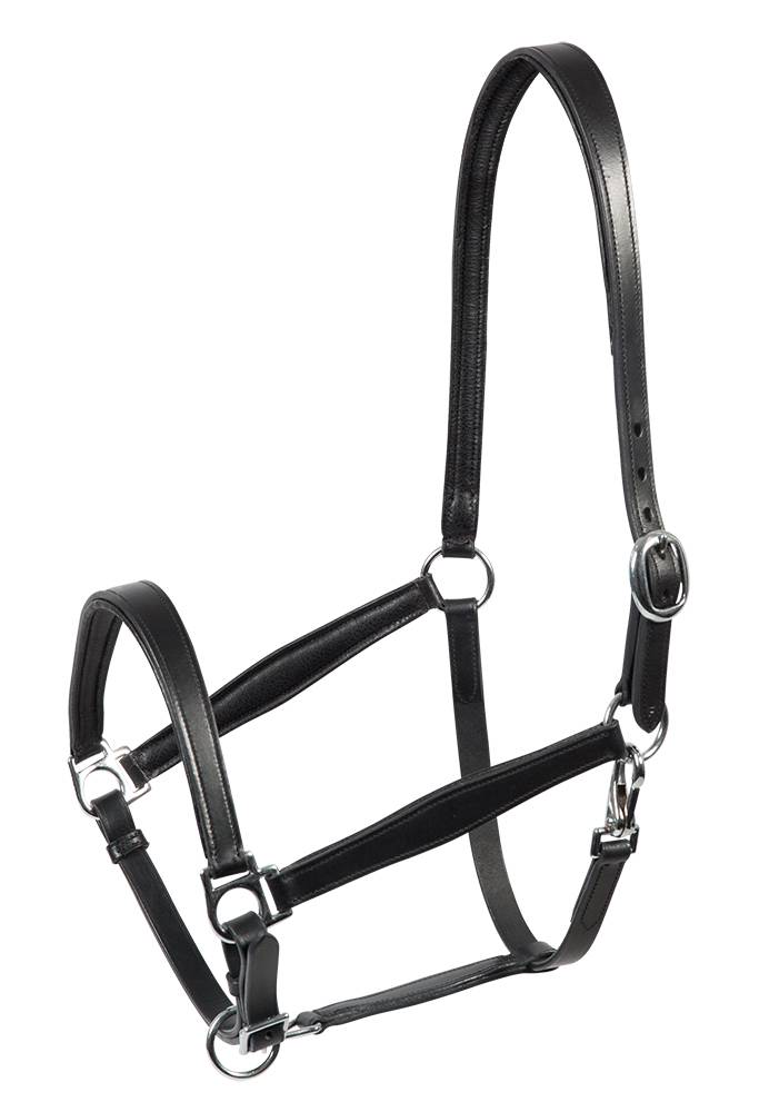 PFIFF 102367 Lederhalfter 'Tender' MENGENANGEBOT