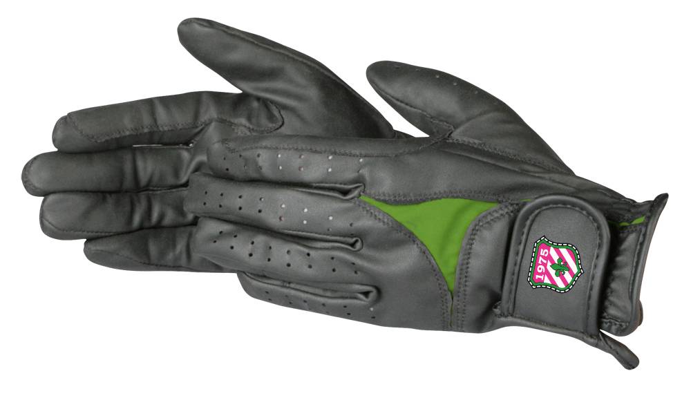 PFIFF 101853 Reithandschuh MENGENANGEBOT