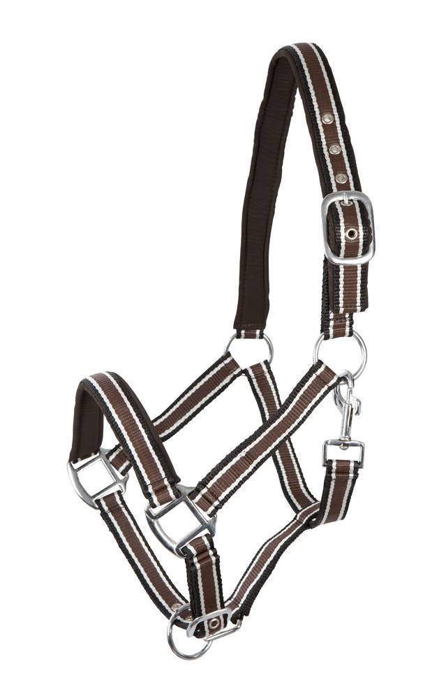 PFIFF 101517 Kunststoffhalfter, unterlegt MENGENANGEBOT
