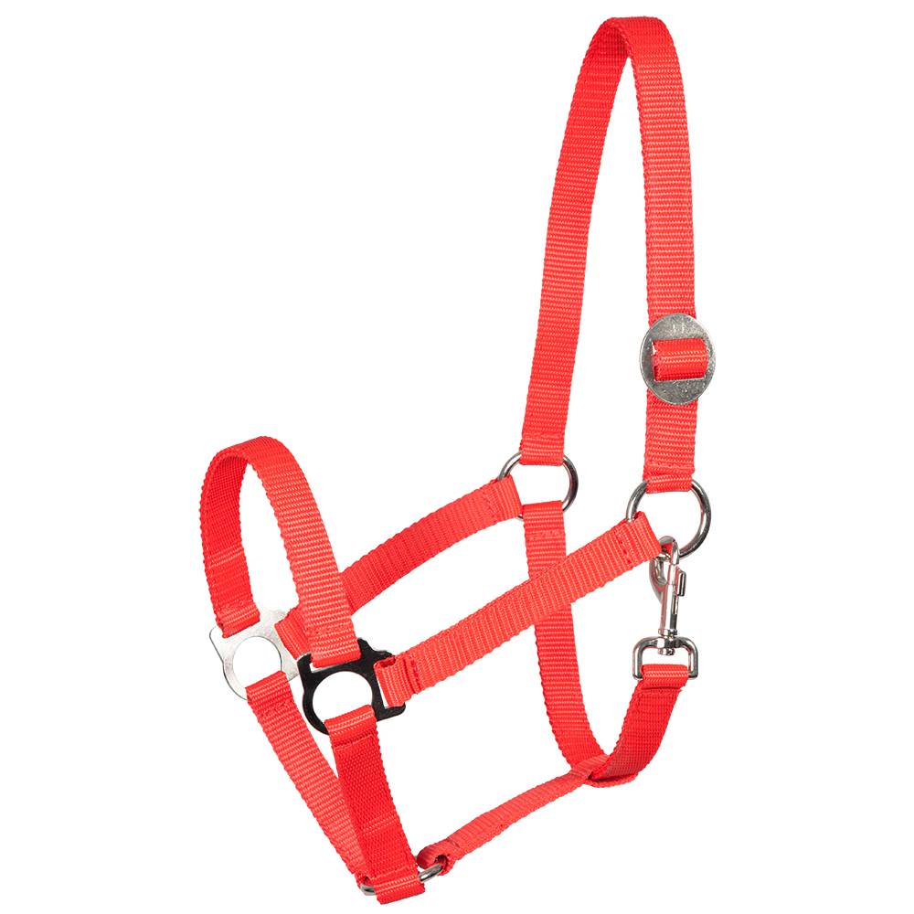 PFIFF 005543 Kunststoffhalfter MENGENANGEBOT