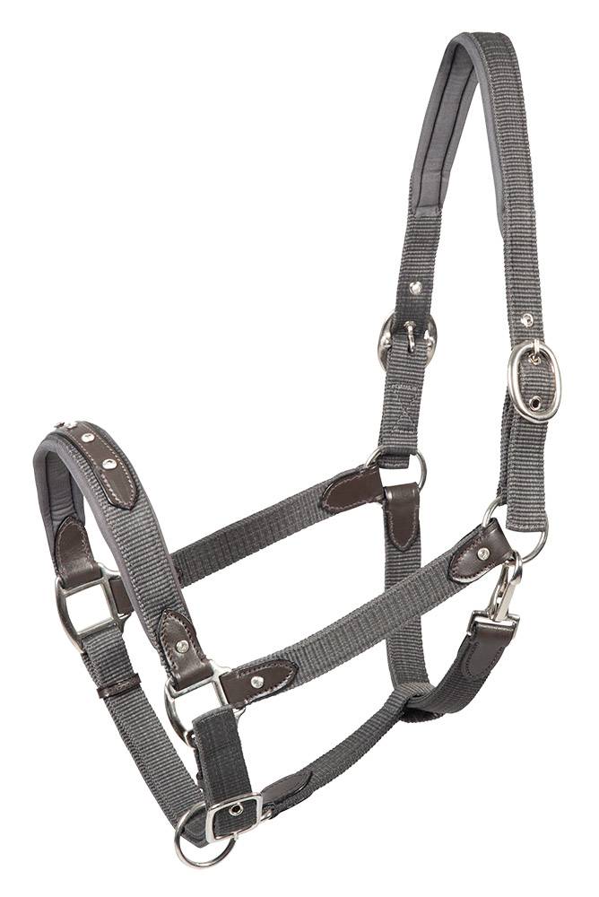 PFIFF 102811 Halfter 'Ciara' mit Lederapplikation MENGENANGEBOT
