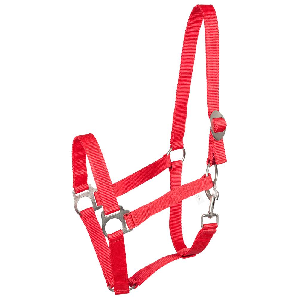PFIFF 101668 Kunststoffhalfter MENGENANGEBOT