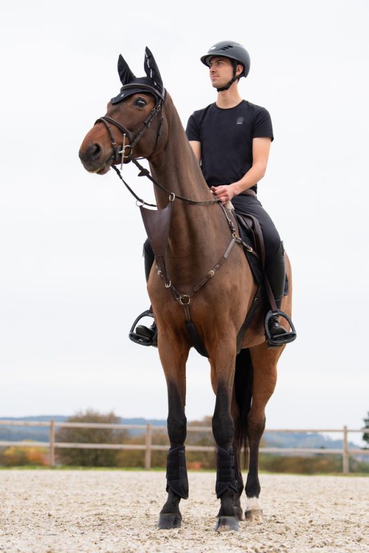 Pikeur T-Shirt Angebote