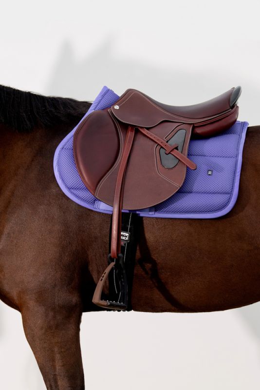 Pikeur Mesh Kostenloser Versand