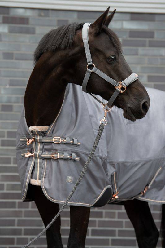 Pikeur BETA 1680 FAUXFUR Jubiläumsangebot