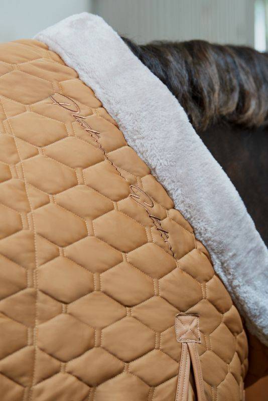 Pikeur ZETA 150 VIP-Rabatte