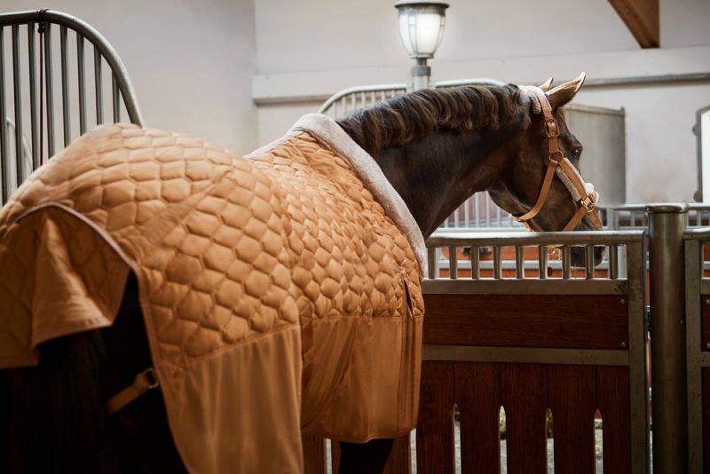 Pikeur ZETA 150 VIP-Rabatte