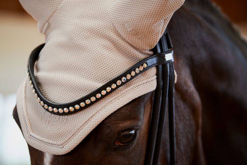 Pikeur MESH Letzte 3 Tage
