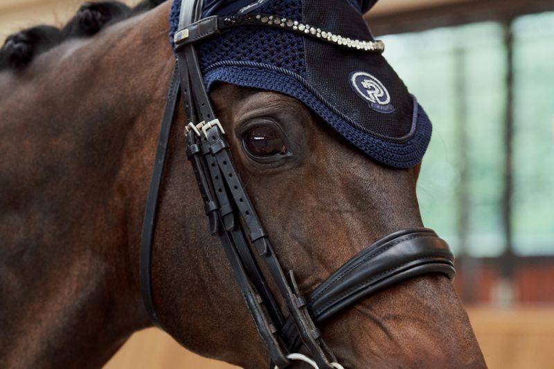 Pikeur GLITTER MESH Bis zu 65% Rabatt