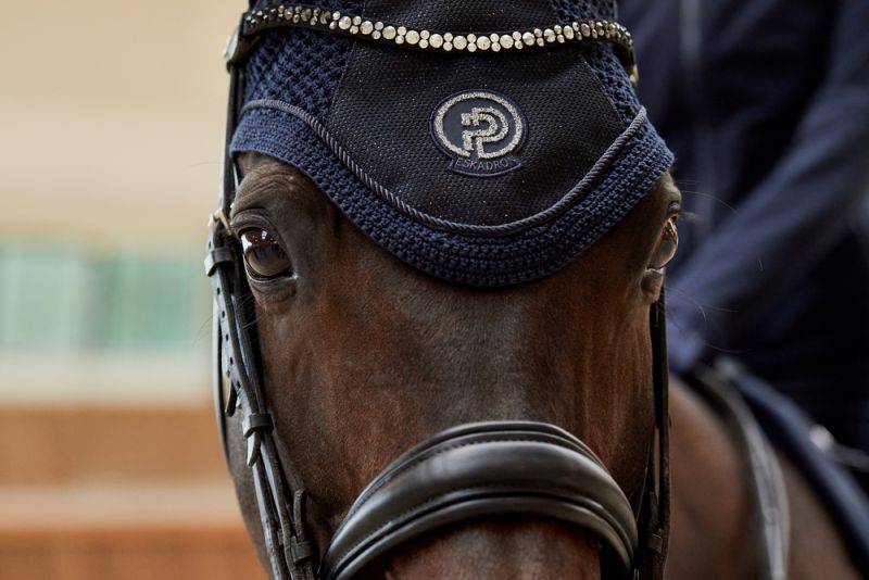 Pikeur GLITTER MESH Bis zu 65% Rabatt