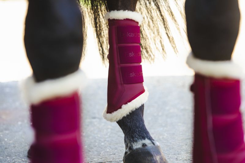 Pikeur SOFTSLATE EVO-WOOL 50% Rabatt für begrenzte Zeit