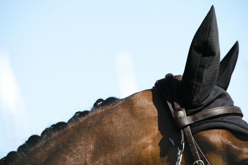 Pikeur SPORT Rabatte dieses Monats