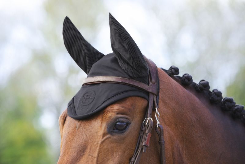 Pikeur SPORT Rabatte dieses Monats