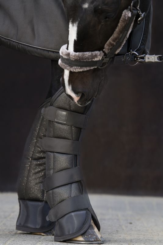 Pikeur GLITTER MESH Auslauf