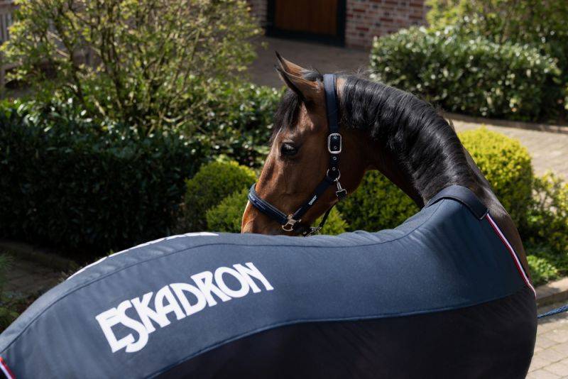 Pikeur PRO COVER Fabrikpreis