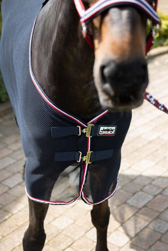 Pikeur FLY DURA CONTRAST Sonderangebot