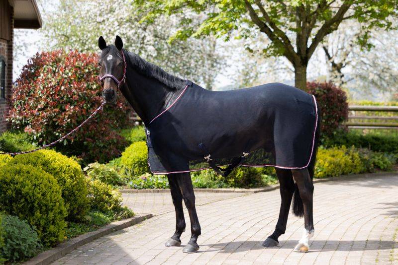 Pikeur FLY DURA CONTRAST Sonderangebot