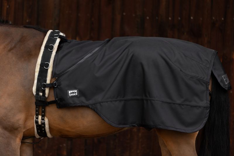 Pikeur 2 in 1 Günstig kaufen