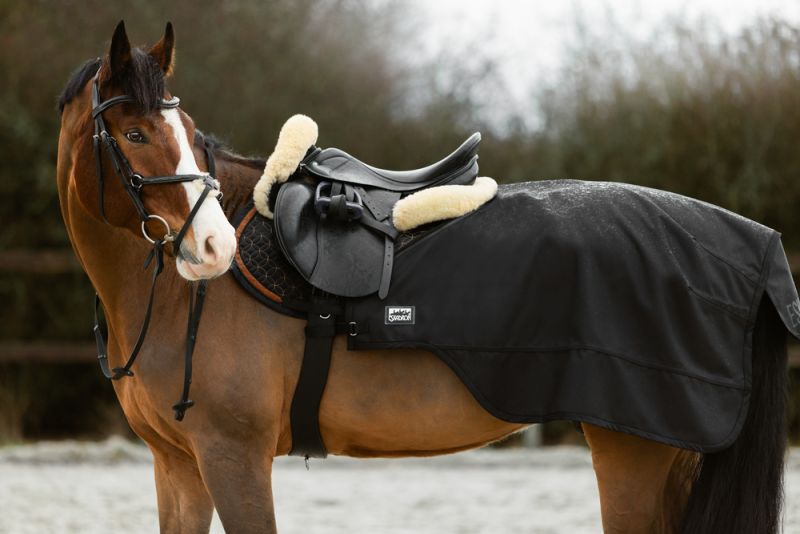 Pikeur 2 in 1 Günstig kaufen