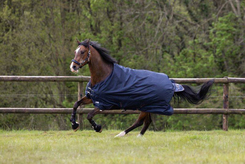 Pikeur ALPHA Fleecelining Online Shopping