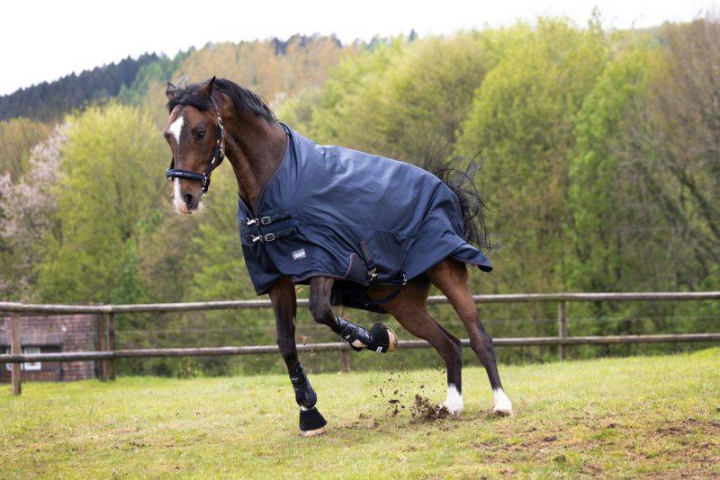 Pikeur ALPHA Fleecelining Online Shopping