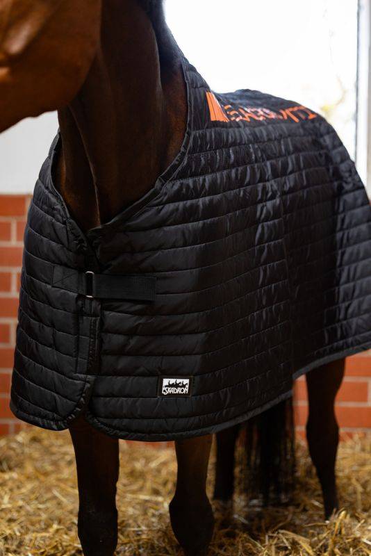Pikeur ANTI SLIP 100 Exklusivangebot