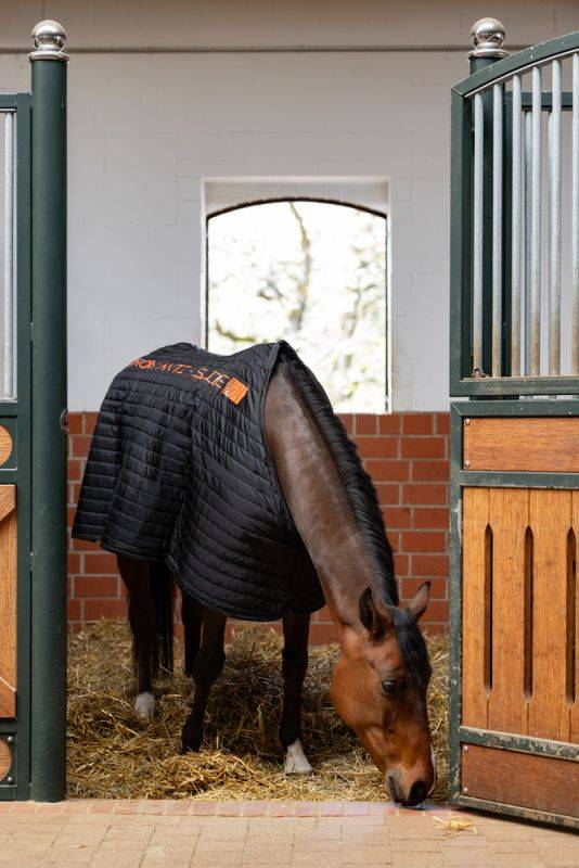 Pikeur ANTI SLIP 100 Exklusivangebot