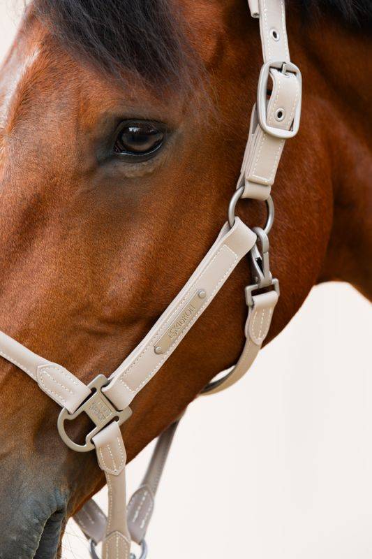 Pikeur LEATHER DOUBLE PIN Bestseller