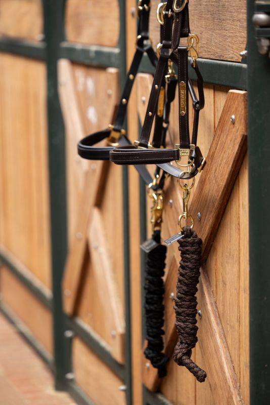 Pikeur LEATHER ELEGANCE Saisonale Angebote