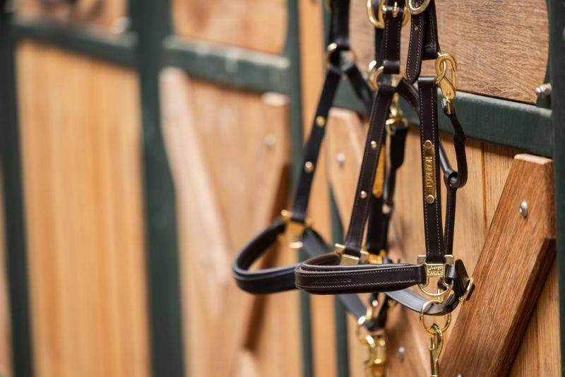 Pikeur LEATHER ELEGANCE Saisonale Angebote