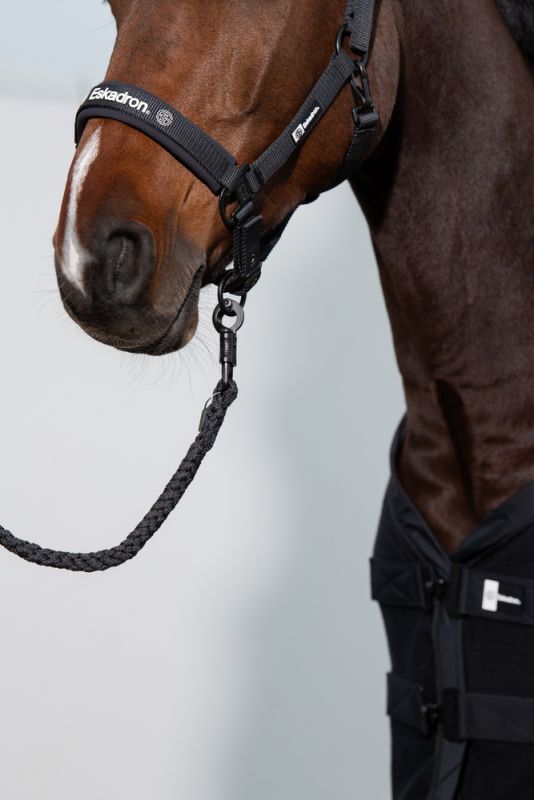 Pikeur Double-Pin Räumungsverkauf