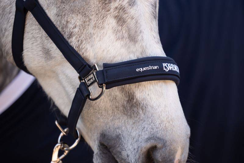 Pikeur DOUBLE PIN BUCKLE Begrenzte Freigabe