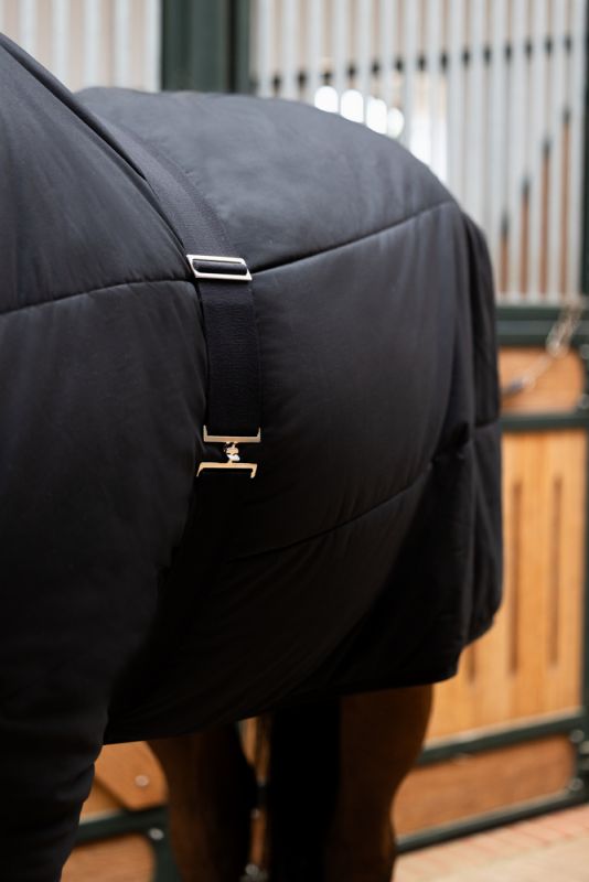 Pikeur DECKENGURT Nur noch ein Tag übrig