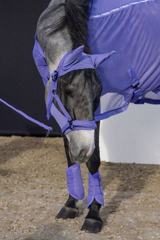 Pikeur DynAir Mesh Super Rabatt